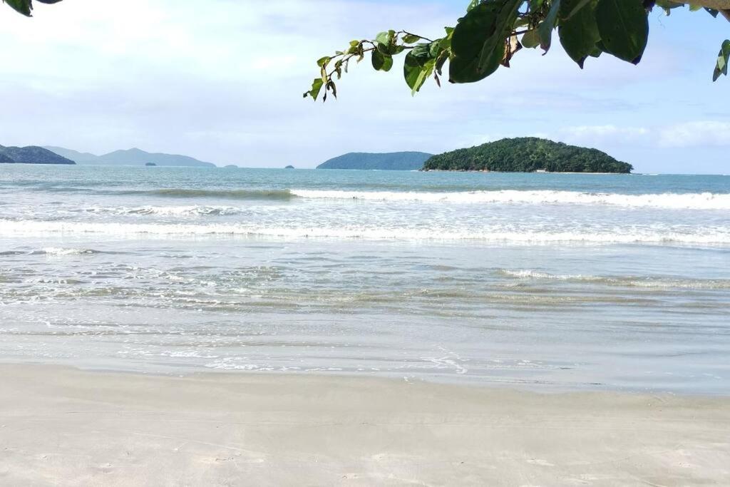 Paraiso Tropical De *
